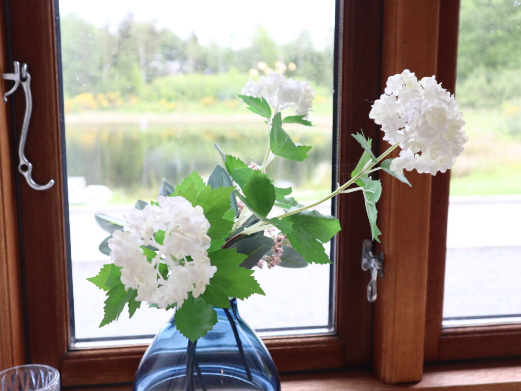 Udsigt, vindue, blomst, vase