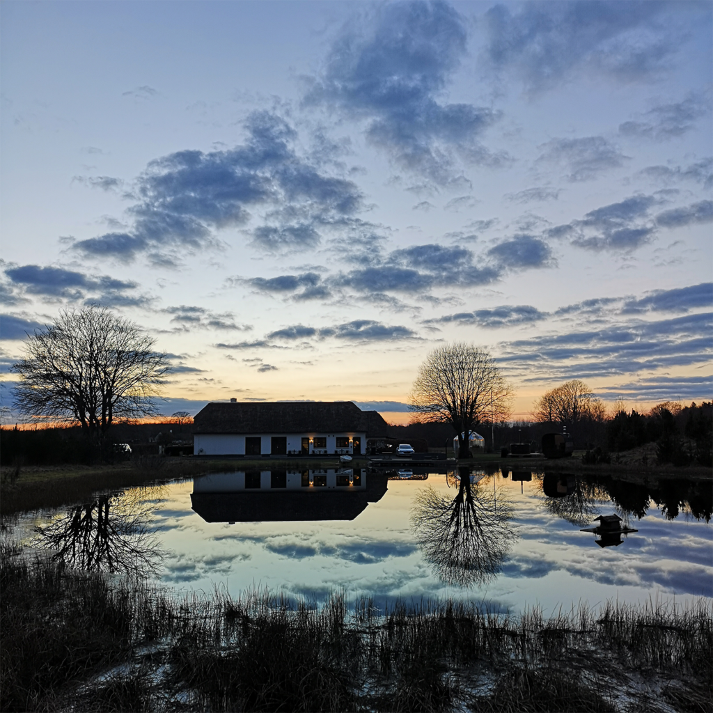 platform, glamping, terrasse, natur, sø