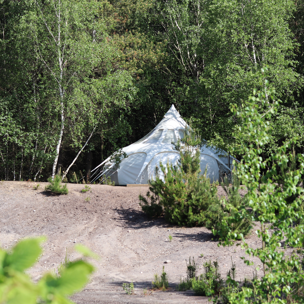 Glamping, telt, skov, natur