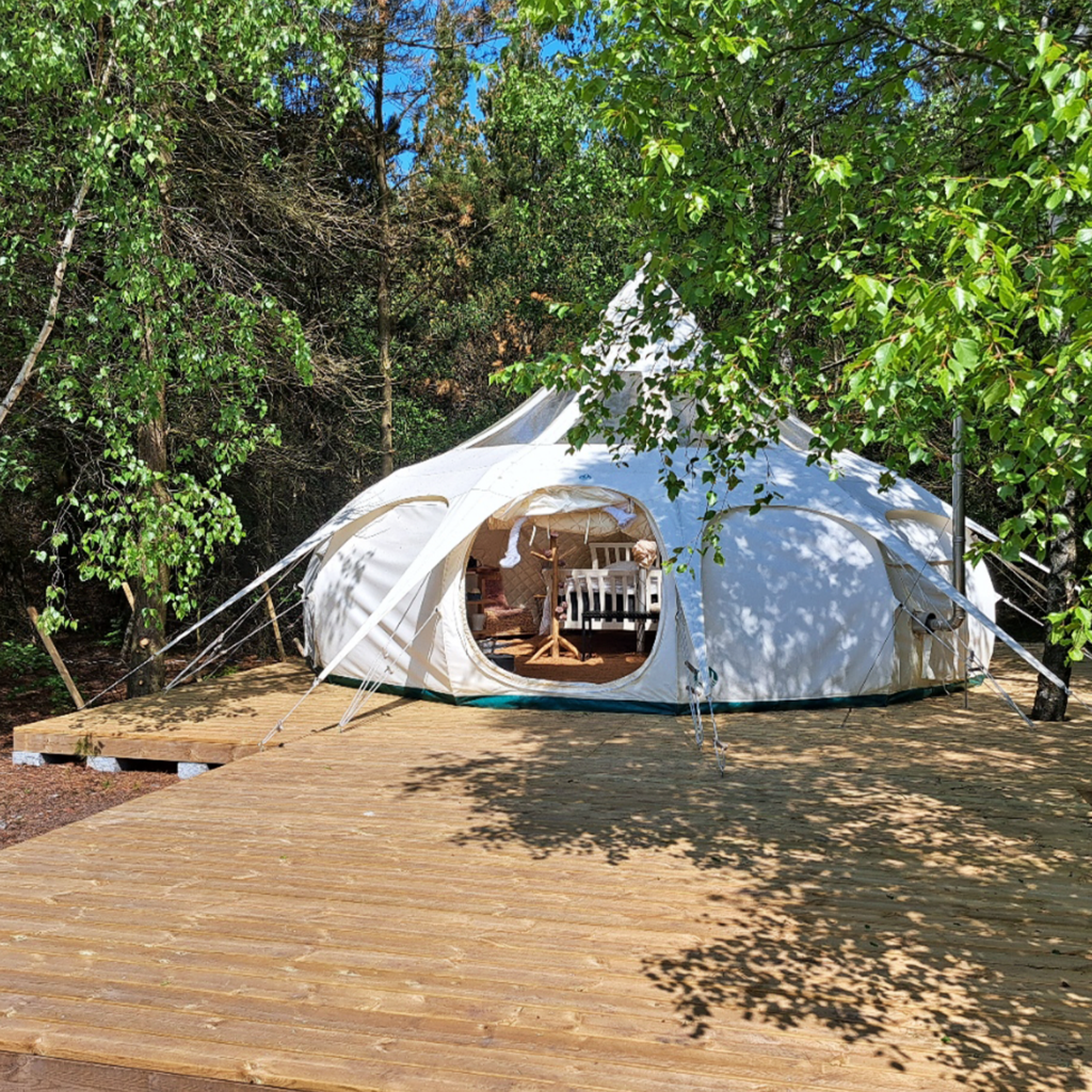 Glamping, telt, skov, natur