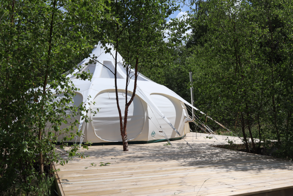 Glamping, telt, lotusbelle